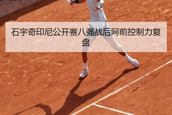石宇奇印尼公开赛八强战后网前控制力复盘