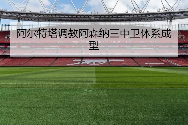 a-er-te-ta-tiao-jiao-a-sen-na-san-zhong-wei-ti-xi-cheng-xing-2-388.jpg