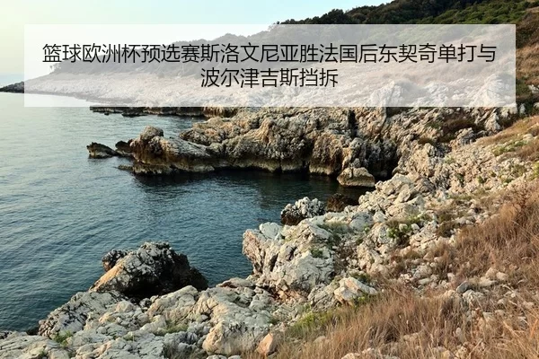 lan-qiu-ou-zhou-bei-yu-xuan-sai-si-luo-wen-ni-ya-sheng-fa-guo-hou-dong-qi-qi-dan-da-yu-bo-er-jin-ji-si-dang-chai-2-861.jpg